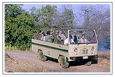 Jungle Safari Tour, Himalaya Jungle Safari, Jungle Safari in Himalayas