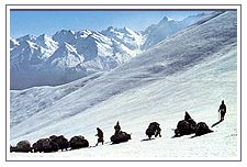 Nepal Himalayas