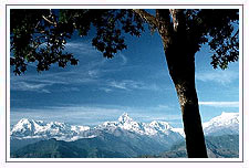 India Nepal Tibet Tour