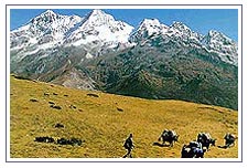 Tibetan Himalayas