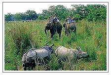 Bardia National Park