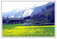 Himachal Pradesh