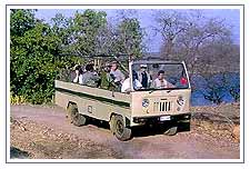 Jungle Safari At Chitwan National Park